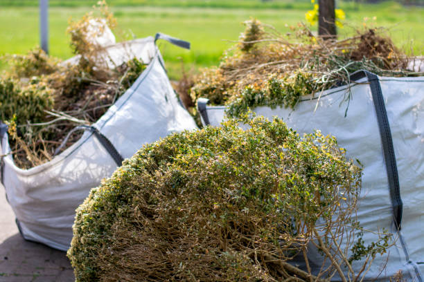 Best Dumpster Rental Services  in Bourg, LA