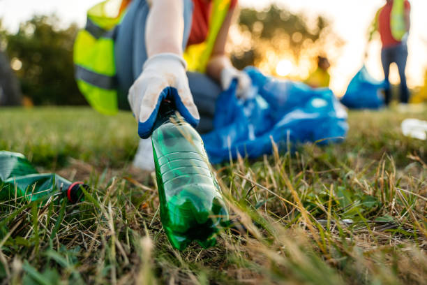 Yard Cleanup Services in Bourg, LA